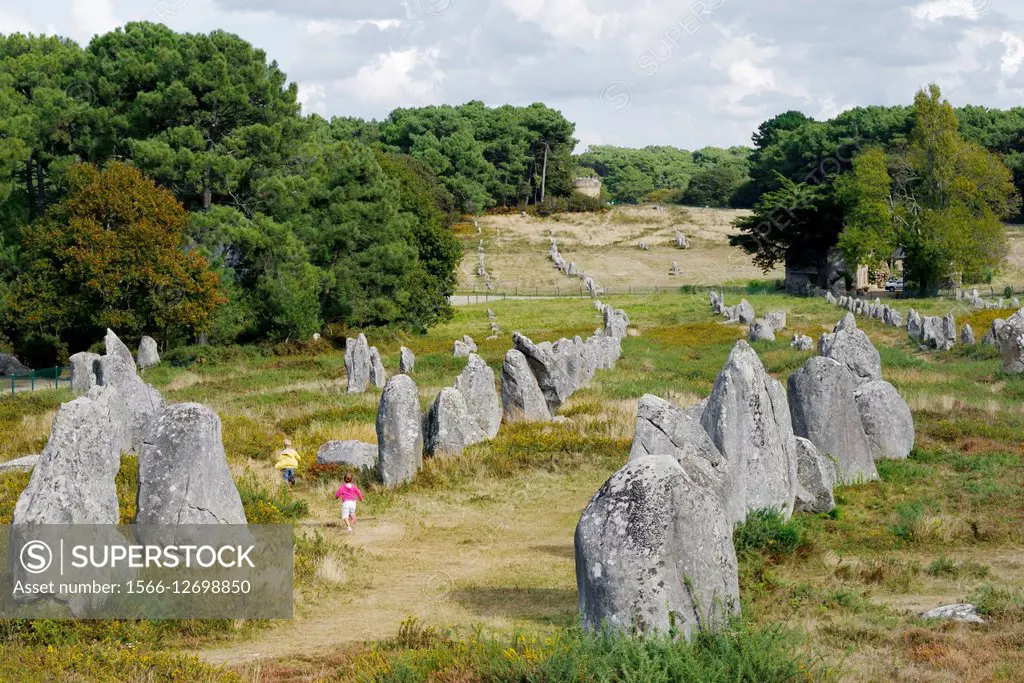 Carnac, Brittany, France. The Kermario group of prehistoric stone row alignments looking northeast.