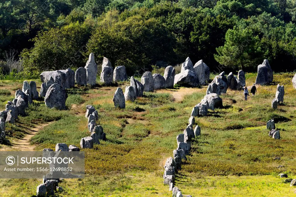 Carnac, Brittany, France. The Kermario group of prehistoric stone row alignments looking southwest toward the tallest.