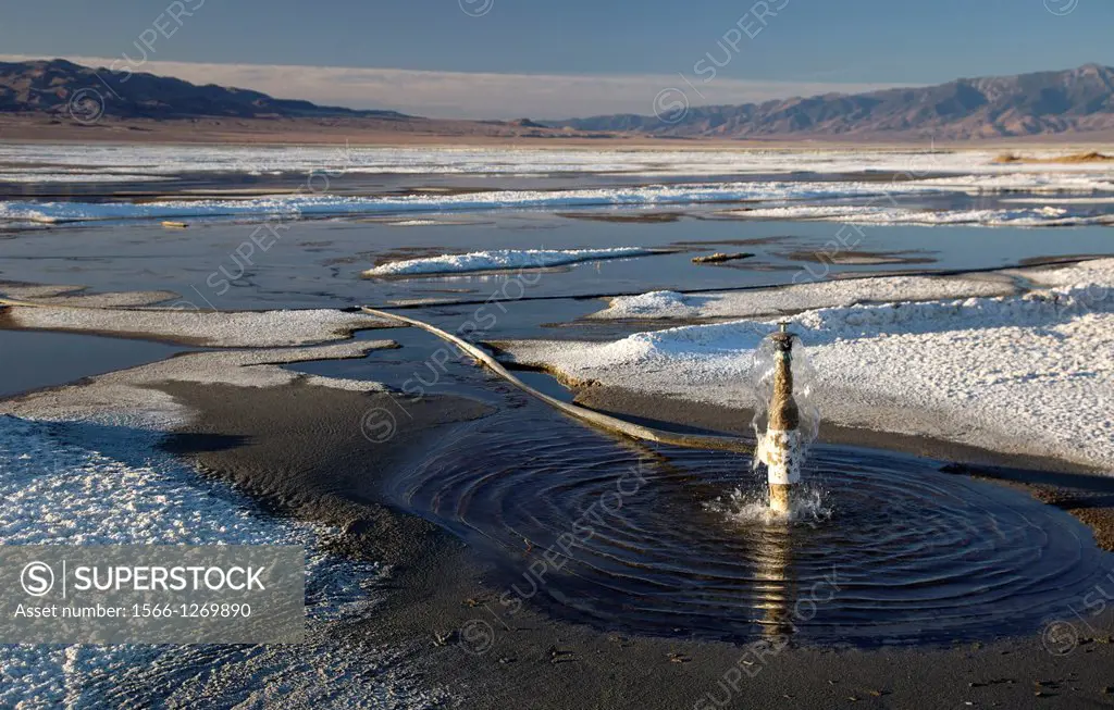 Keller, California - The Los Angeles Department of Water and Power is returning some water to Owens Lake, 100 years after it began diverting water fro...