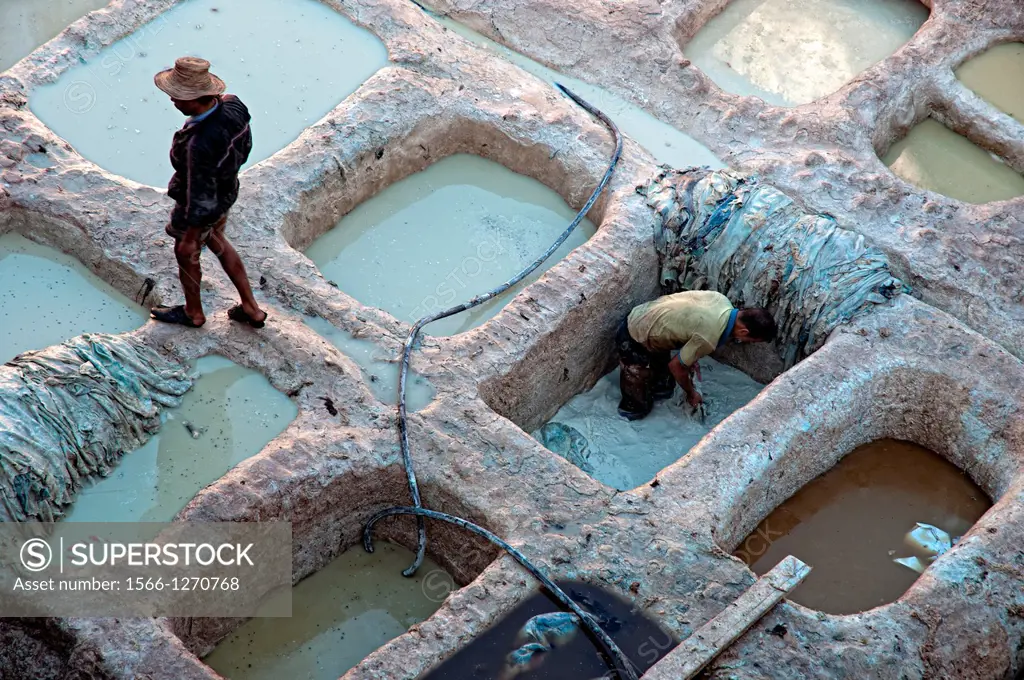 Men working in a tannery in the medina of Fez  Fez el Bali, Imperial city, Morocco