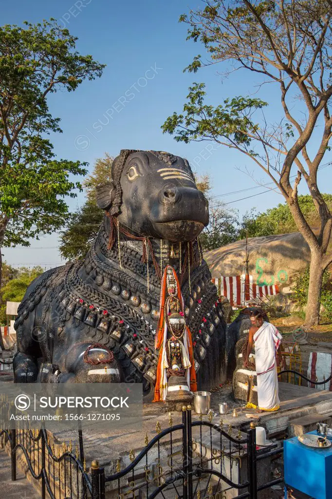 India, Karnataka State, Mysore City, Chamundi Hill, Lord Shiva´s Bull Temple