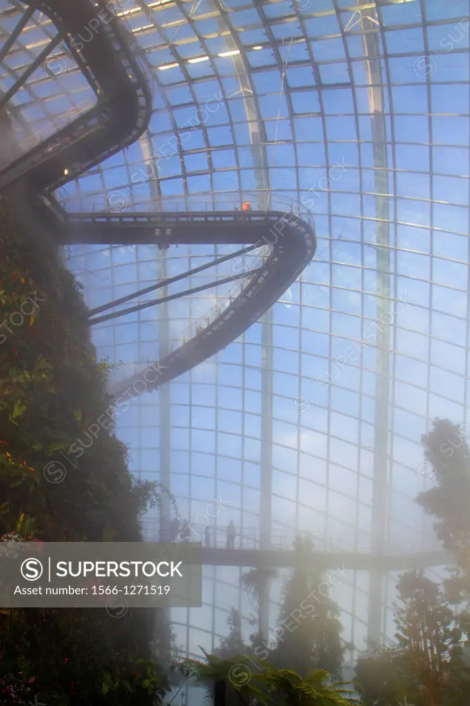 Singapore, Gardens by the Bay, park, Cloud Forest, mountain, greenhouse, mist, fog, elevated walkway,