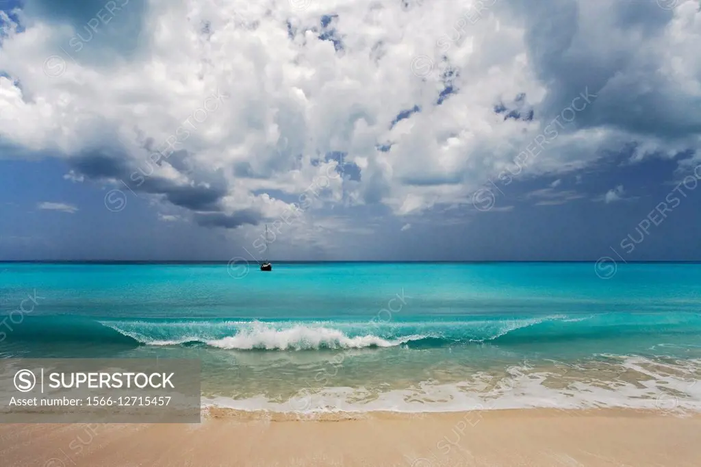 Barbuda, Leeward Islands, Eastern Caribbean.