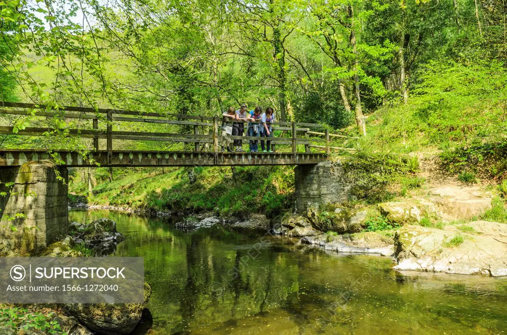 Footbridge over The East Lyn River in Barton Wood in Exmoor during spring near Rockford, Devon, England Devon, England
