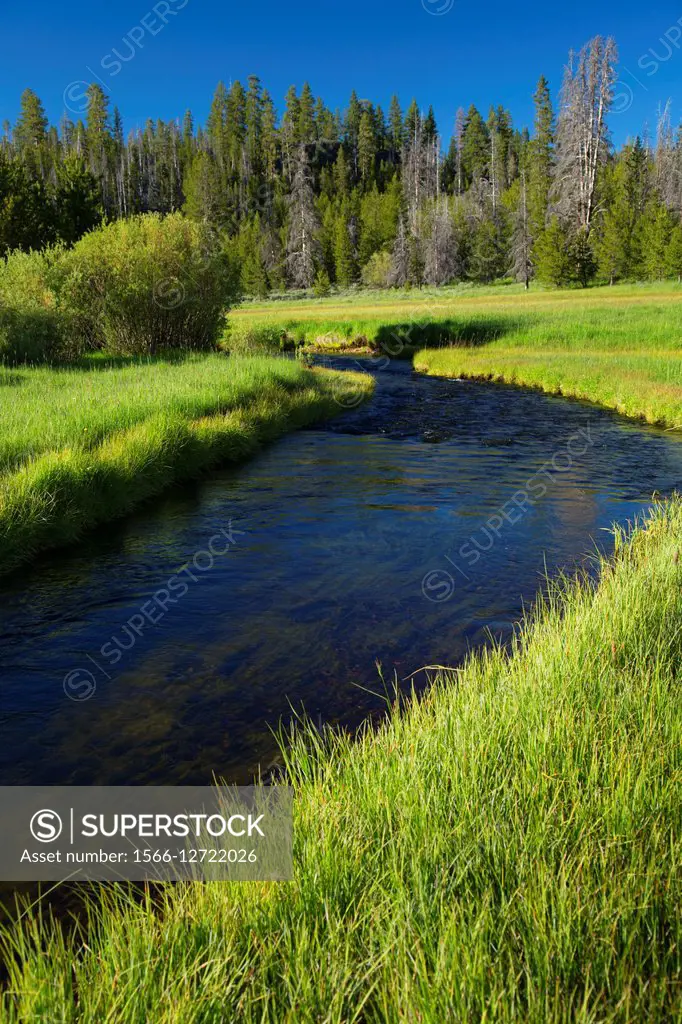 Sprague Wild and Scenic River, Fremont National Forest, Oregon.