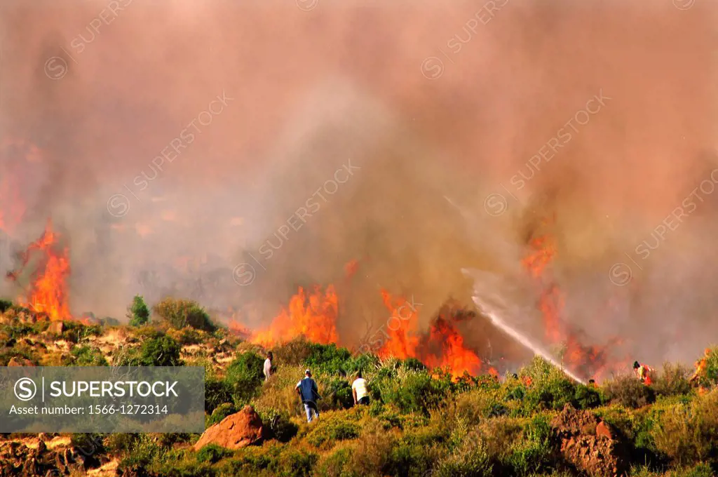 Fighting against the fire on the semi-island of Çesme, Turkey