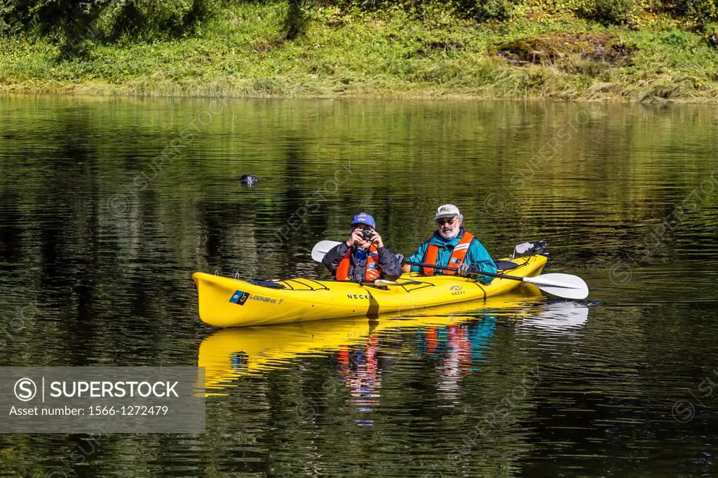 Lindblad guests kayaking in Lake Eva, Baranof Island, Southeast Alaska, USA.
