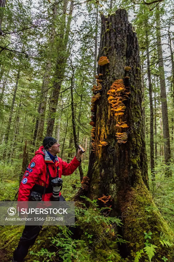 Lindblad Expeditions guests photographing mushrooms in Williams Cove, Tracy Arm, Southeast Alaska, USA.