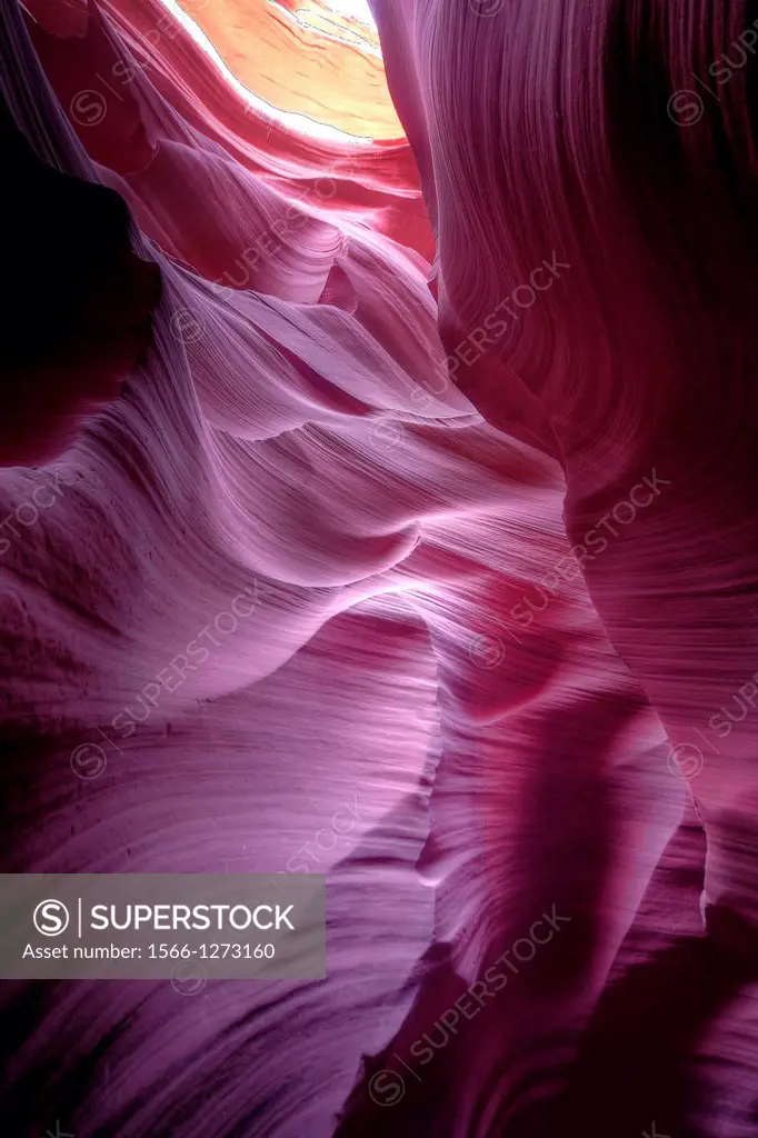 The colorful fluted walls of Lower Antelope Canyon formed through millions of years of erosion.