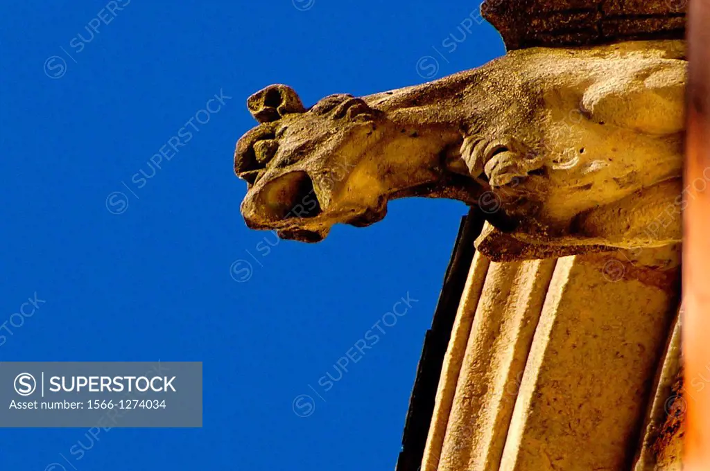 Gargoyle on the Grosse Cloche tower at Bordeaux, Gironde, Aquitaine, France
