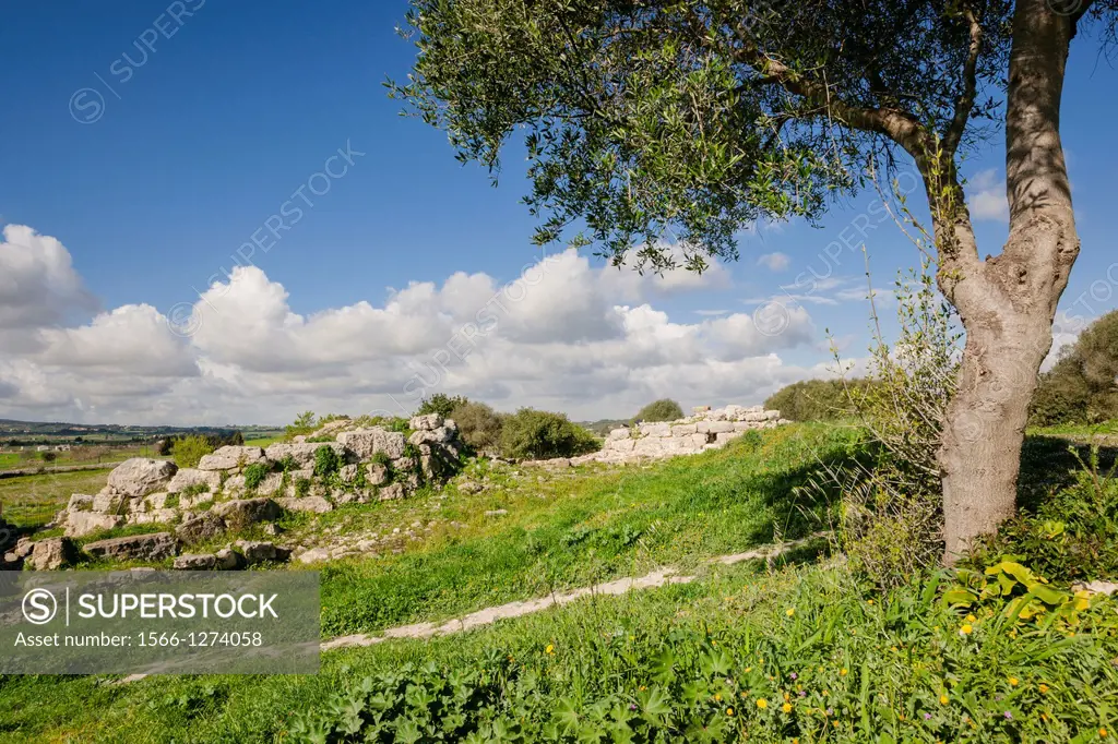 talayotic town Son Fornells, Montuiri, -1300-123 talayotic period a. C. - Region of Es Pla, Mallorca, Balearic Islands, Spain