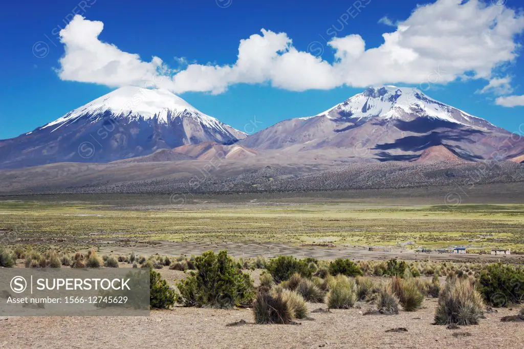 Landscape of the National park of Sajama, with old volcano and snow, Altiplano, Bolivia.