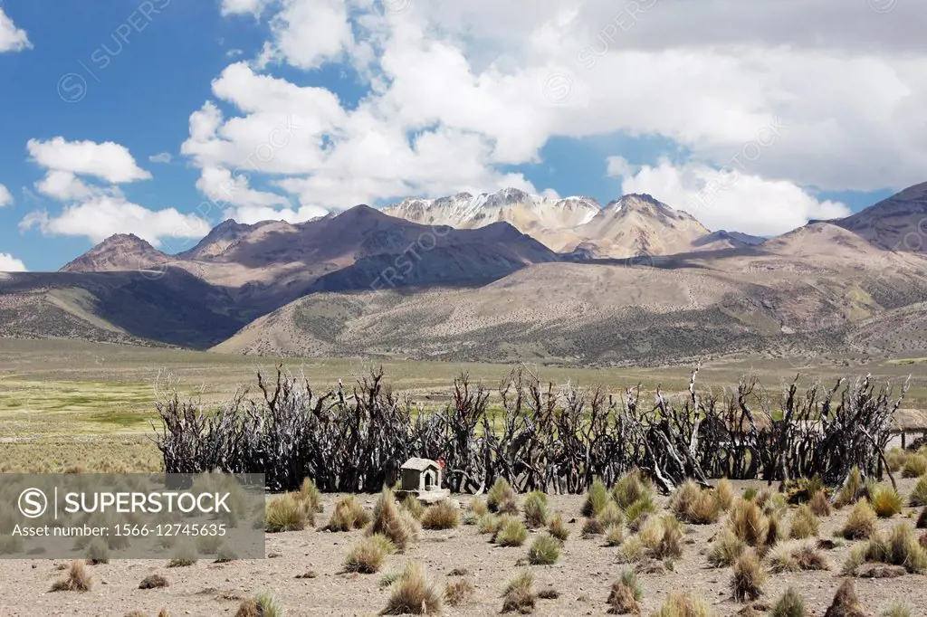 Landscape of the National park of Sajama, with old volcano and snow, and barrier to corral the lamas, Altiplano, Bolivia.