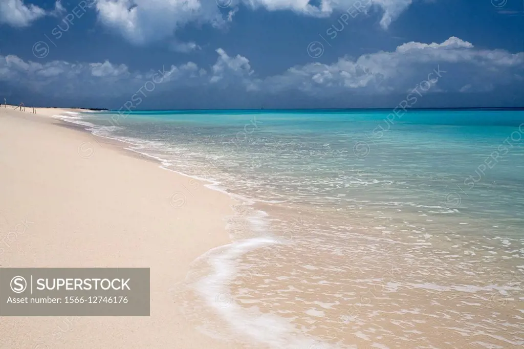 Barbuda, Leeward Islands, Eastern Caribbean.