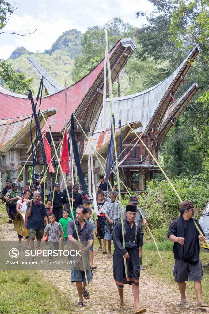 funeral ceremony in tana toraja, sulawesi, indonesia.