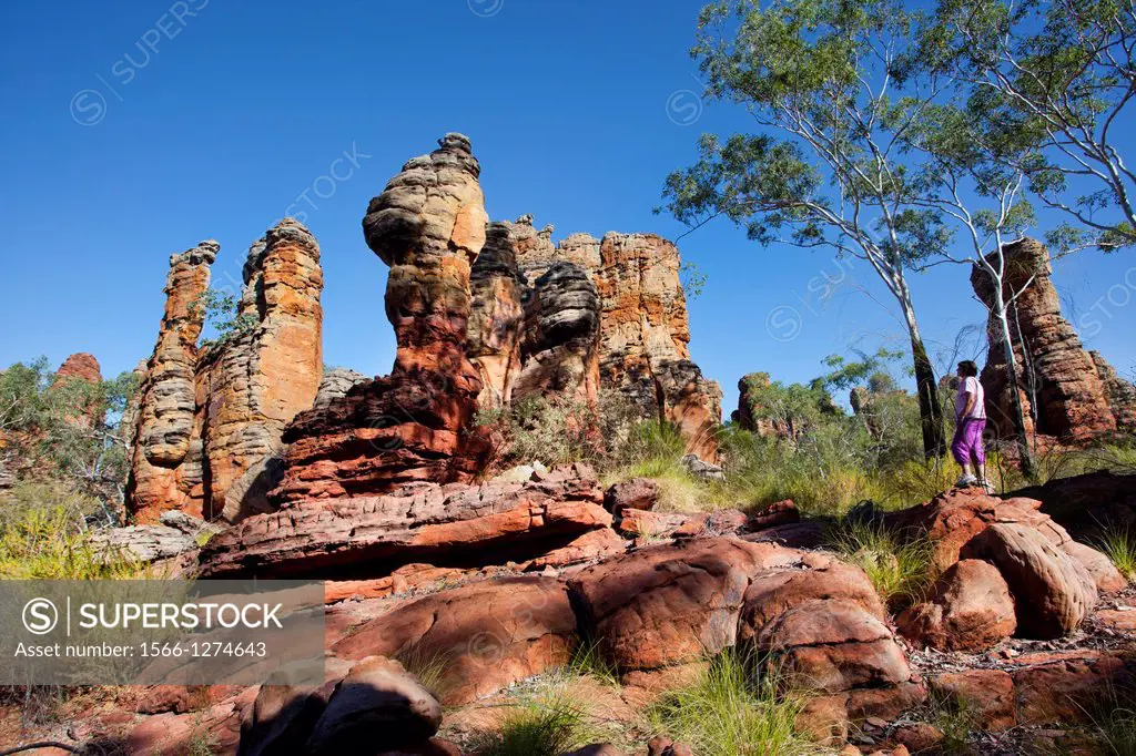 Australia, Northern Territory, Limmen National Park, Southern Lost City, slica glazed sandstone pillas, towers and pinnacles give the impression of an...
