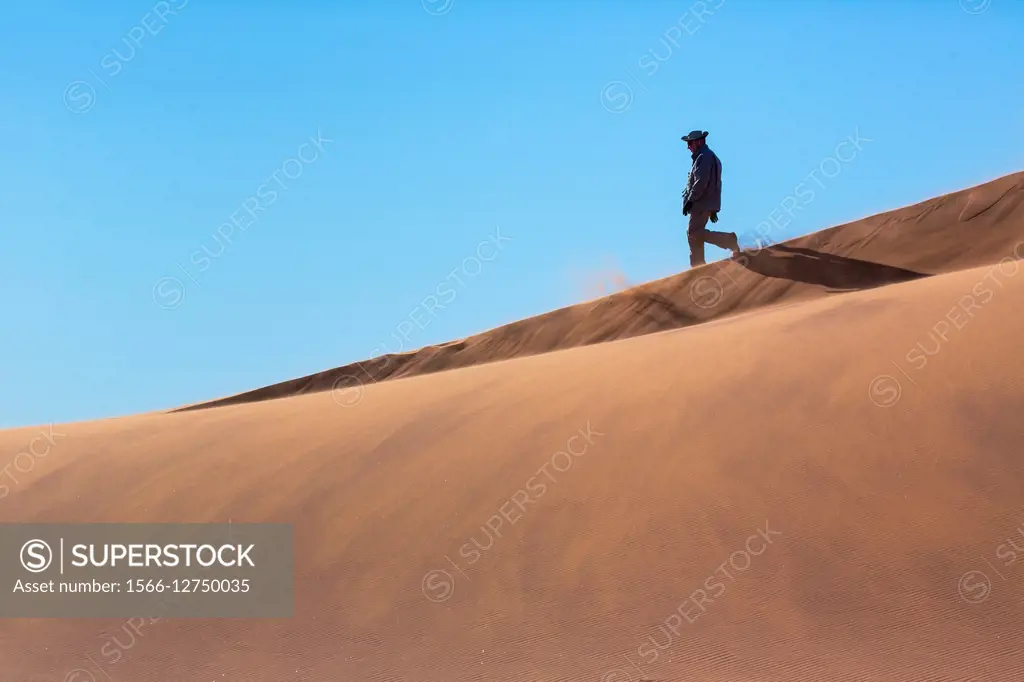 Sand Dunes, Namib Naukluft National Park, Namibia, Africa.