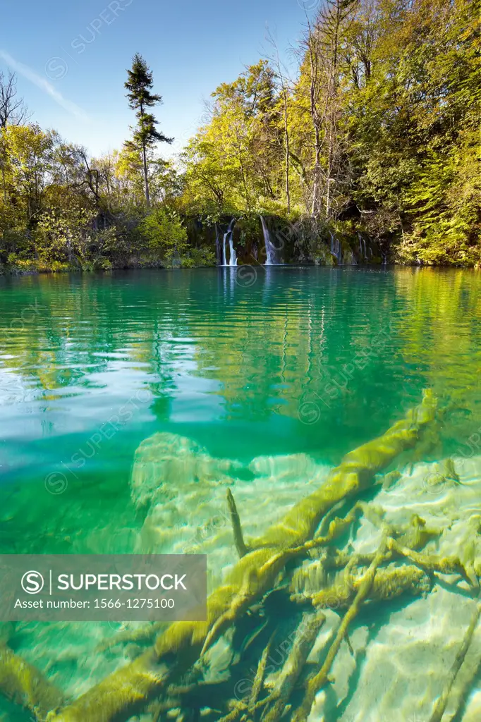Croatia - Plitvice Lakes National Park, crystal-clear water in the lake, central Croatia.