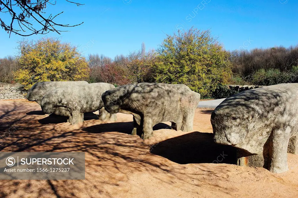 Bulls of Guisando, stone sculptures of the second and first centuries BC. El Tiemblo, Avila, Spain