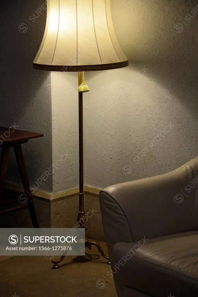 floor lamp next to the sofa