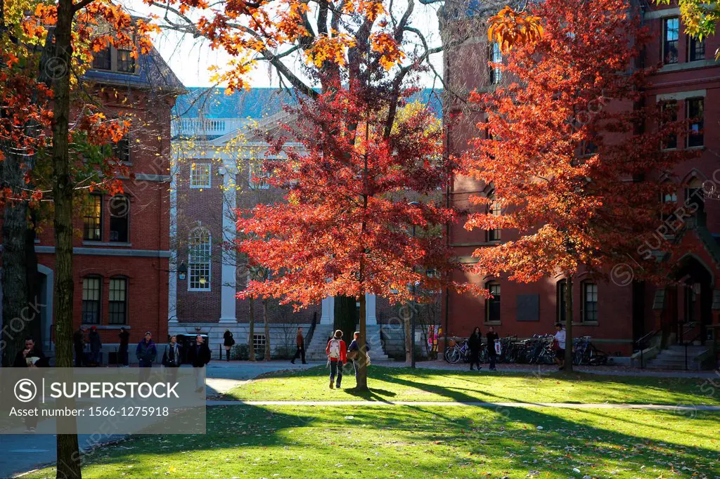 Scenics of Harvard Yard, the central campus of Harvard University, in Indian Summer Fall.