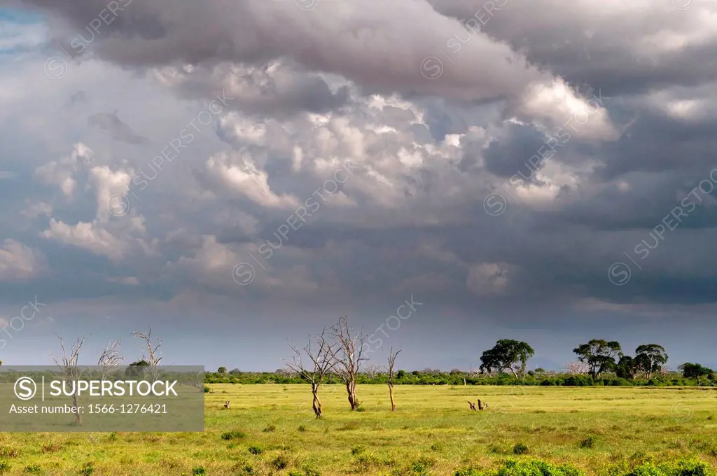 Tsavo East National Park, Kenya.