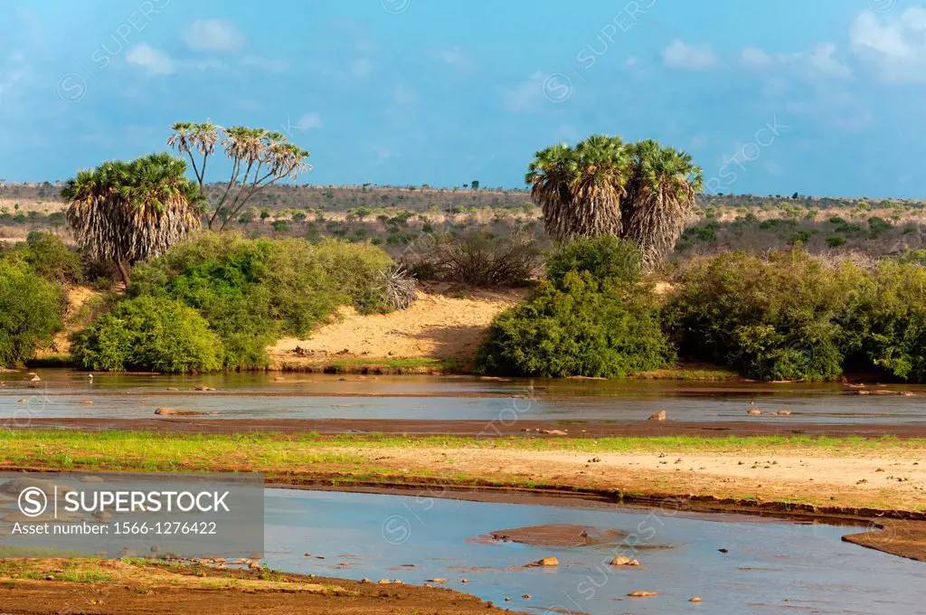 Tsavo River, Tsavo East National Park, Kenya.
