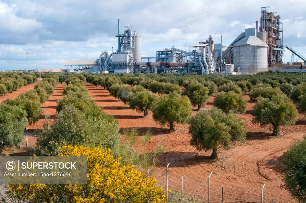 Olive grove and cement factory. Morata de Tajuña, Madrid province, Spain.