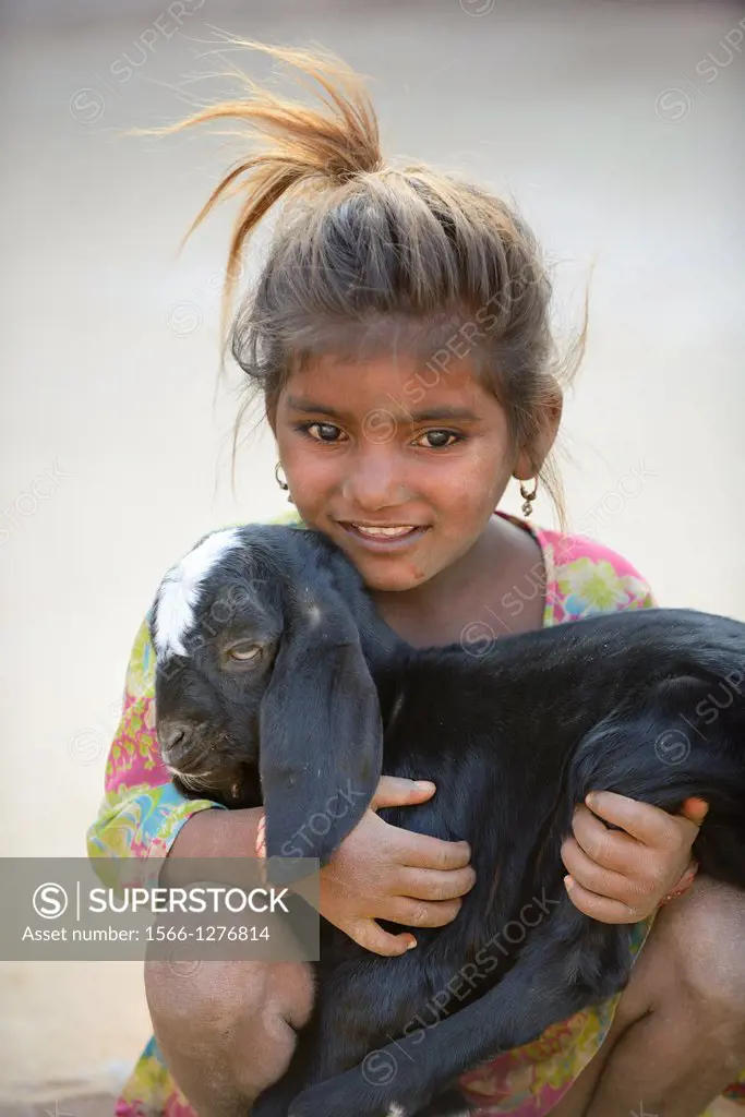 India, Rajasthan, Manwar surroundings, Little girl holding a baby goat.