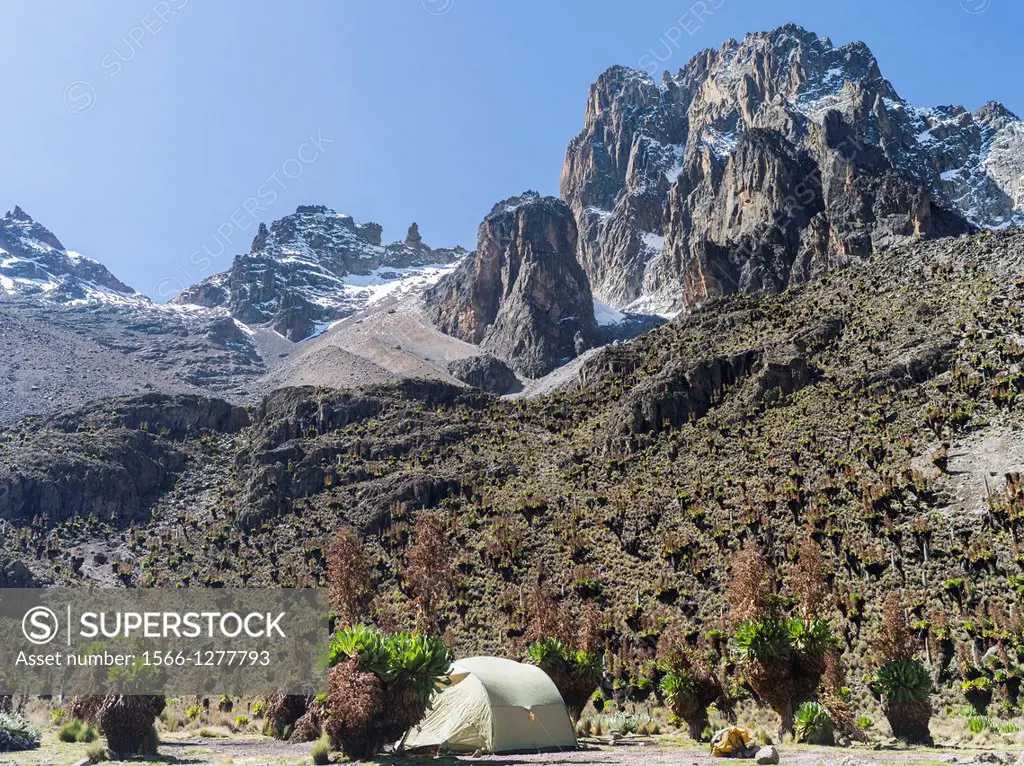 Trekking in the Mt. Kenya National Park a UNESCO World Heritage site. Shipton's Camp with Mount Kenya in the background. Left is the peak Pt. Lenana, ...
