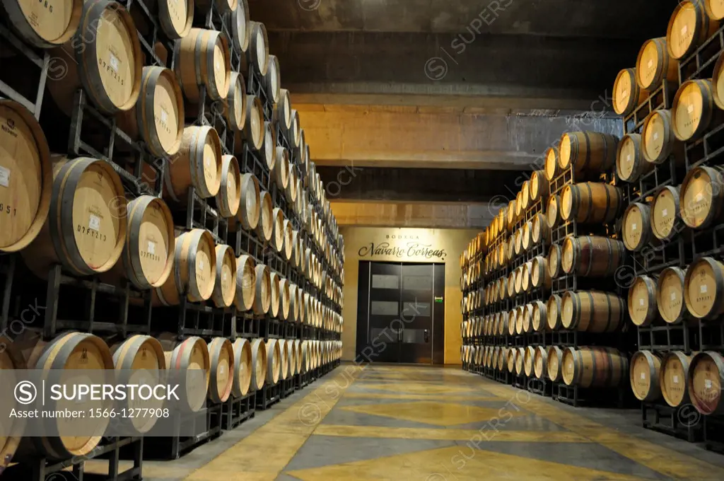 Wine is stored in ten rows of oak barrels, Mendoza, Argentina.