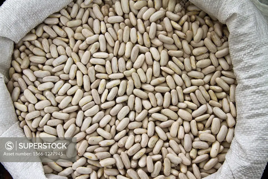Fabes, White Beans in a sack, Asturias, Spain