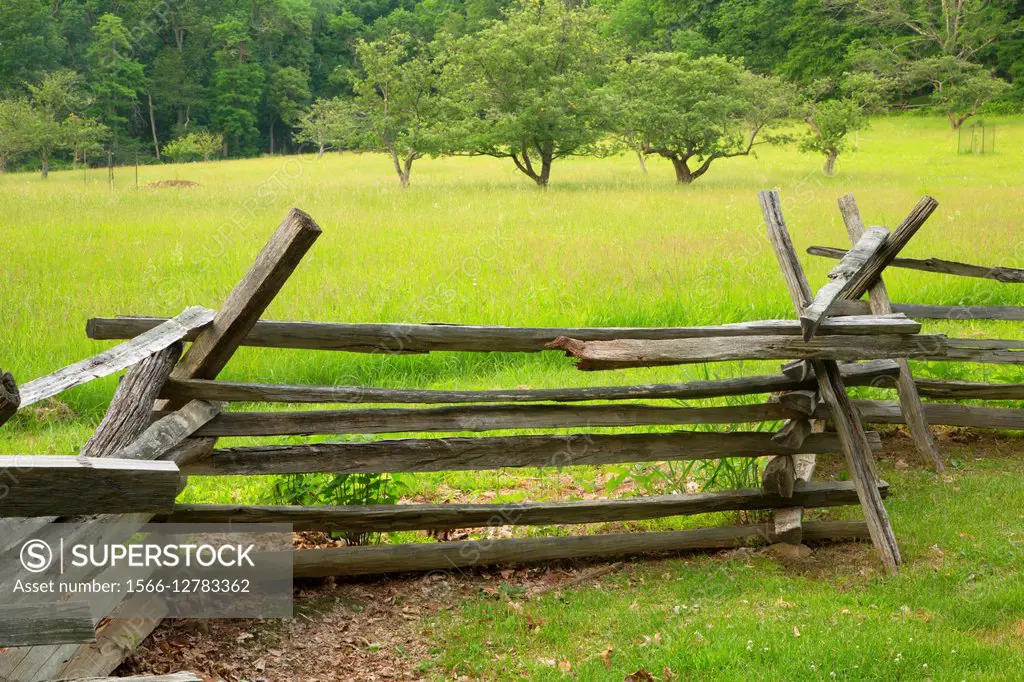 Fenceline at Wick Farm, Morristown National Historic Park, New Jersey.