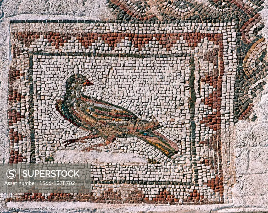 Mosaic floor, House of the Birds, Roman ruins of Italica, Santiponce, Seville-province, Spain.