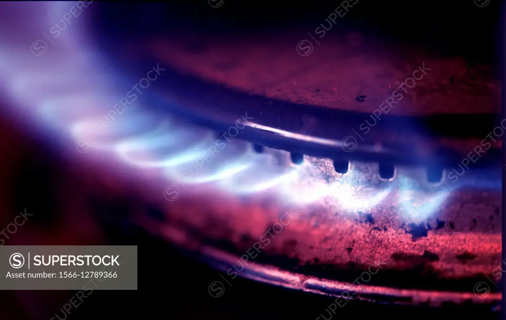 Flame of a gas Cooker.