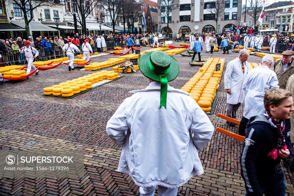 Cheese market, De Waag, Alkmaar, Netherlands, Europe.