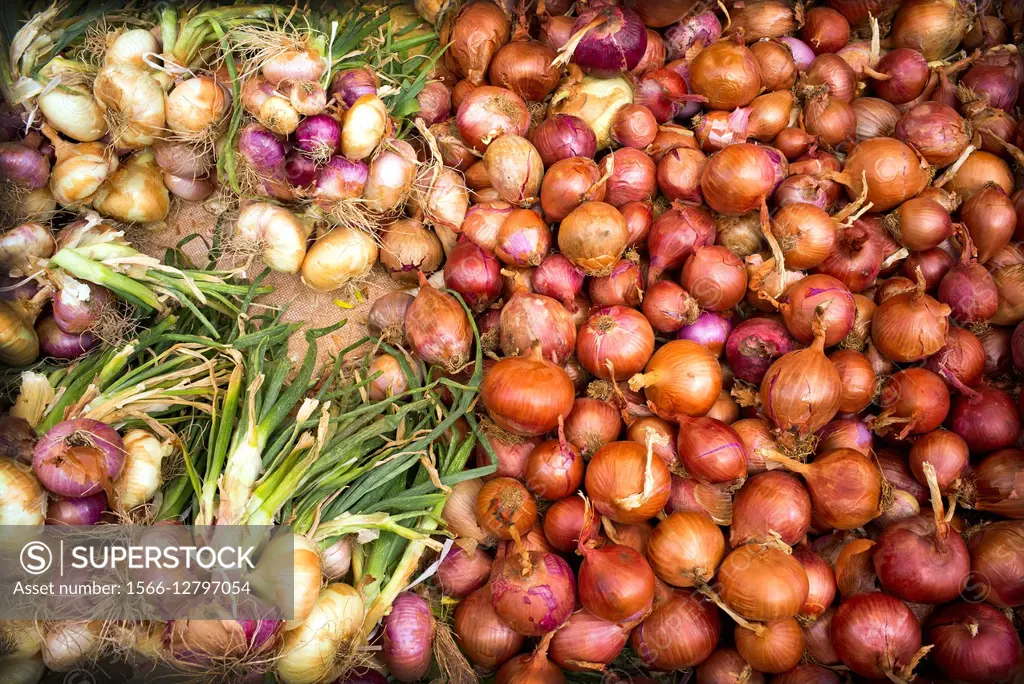 Close-up of ecological onions in the street market in Fez Medina, Morocco Africa