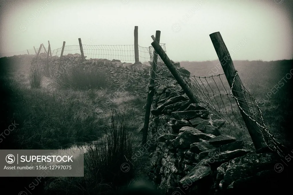 Dry stone wall with poles and a metal fence in a misty day. Yorkshire Dales, North Yorkshire, Skipton, England, UK, Europe