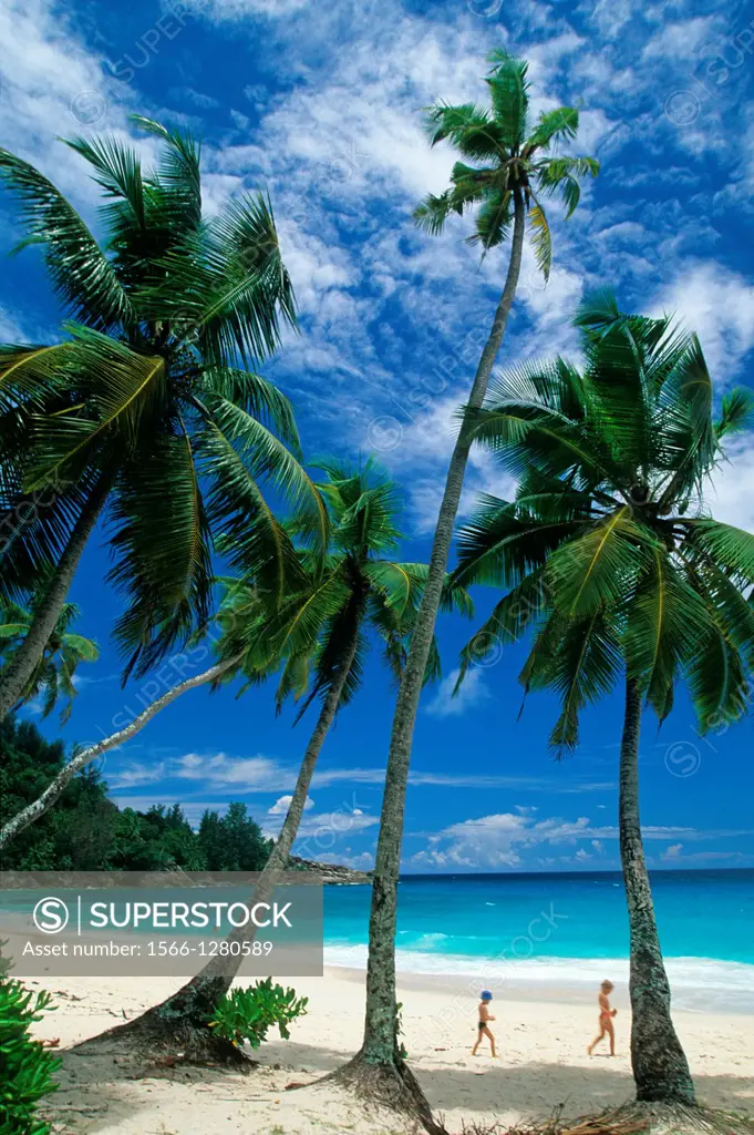 Baie Intendance beach, Mahe island, Republic of Seychelles, Indian Ocean