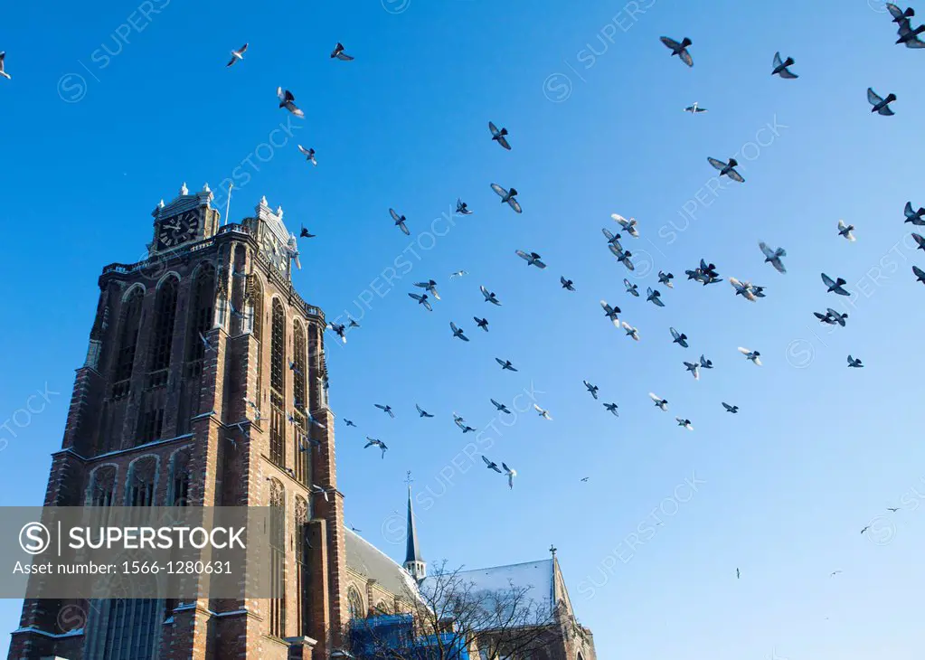 'Grote kerk' (big church) in Dordrecht, Netherlands.