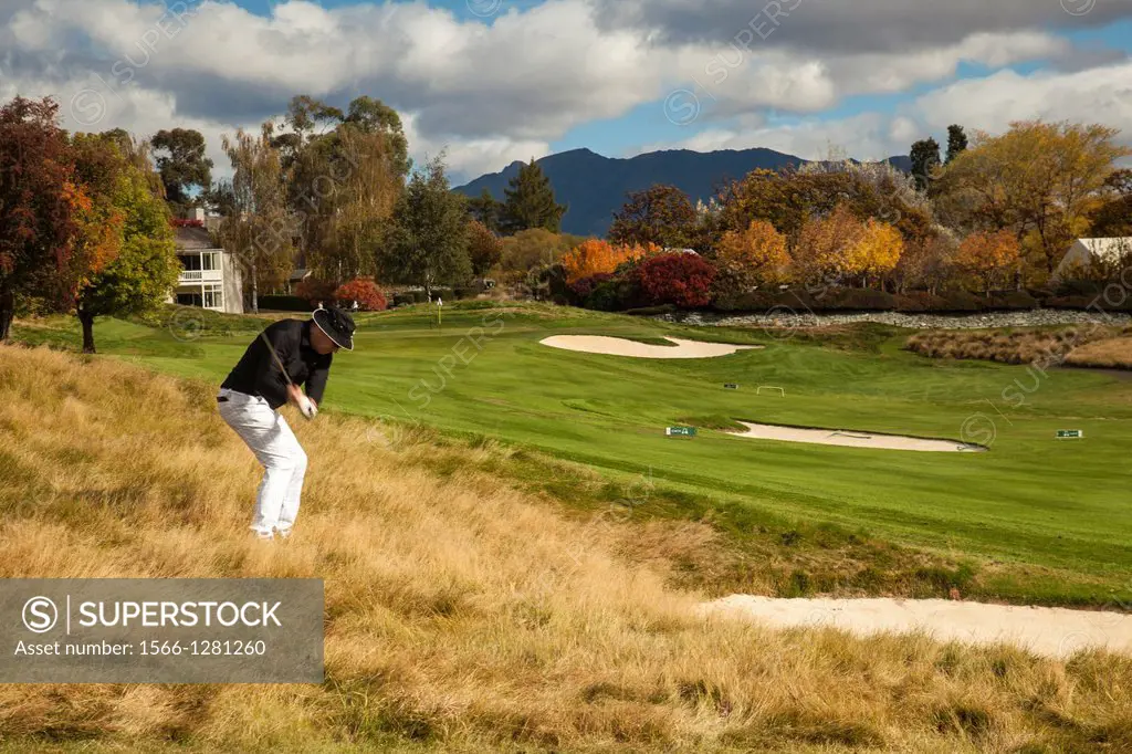Golfer hits from rough towards green, Millbrook golf resort, autumn between Arrowtown and Queenstown, Otago, New Zealand.