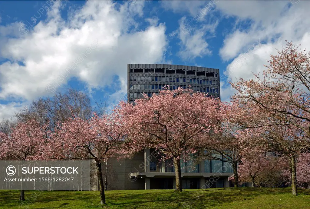 ILO, International Labor Office, spring, Geneva, Switzerland.
