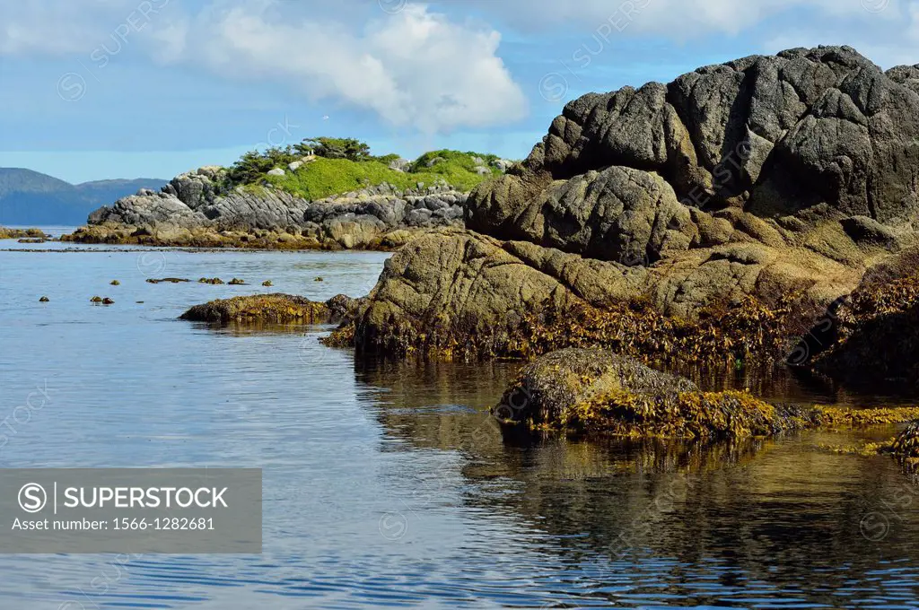 Calm seas and rocky outer islands near Anthony Island (SGÌ±ang Gwaay), Haida Gwaii (Queen Charlotte Islands) Gwaii Haanas NP, British Columbia, Canada...
