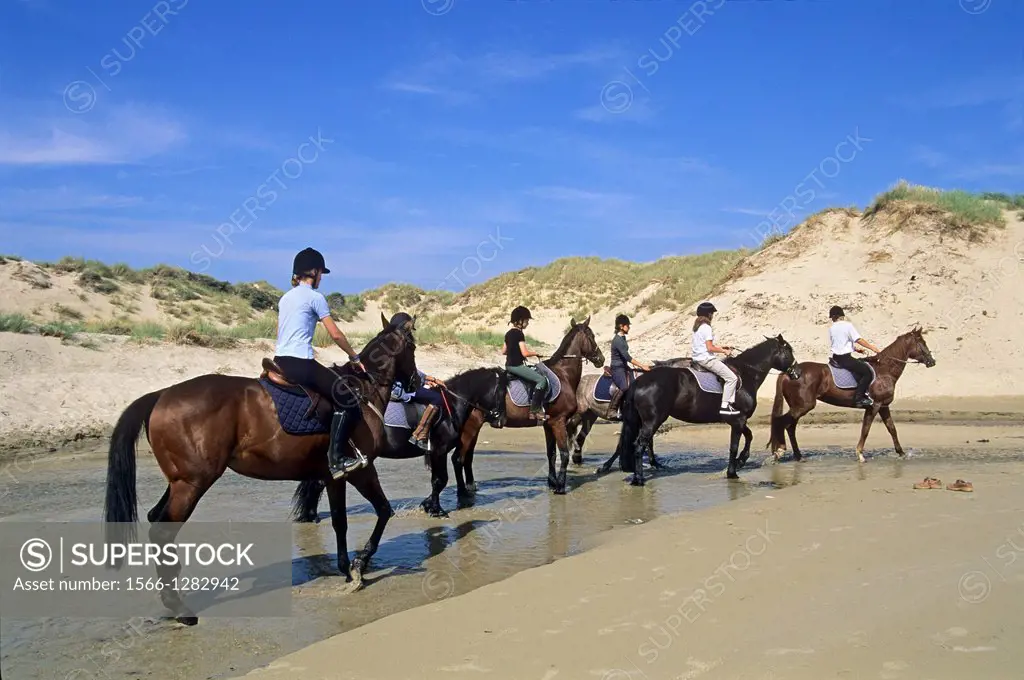 riding in the sand dunes, Hardelot, Pas-de-Calais department, Nord-Pas-de-Calais region, France, Europe.