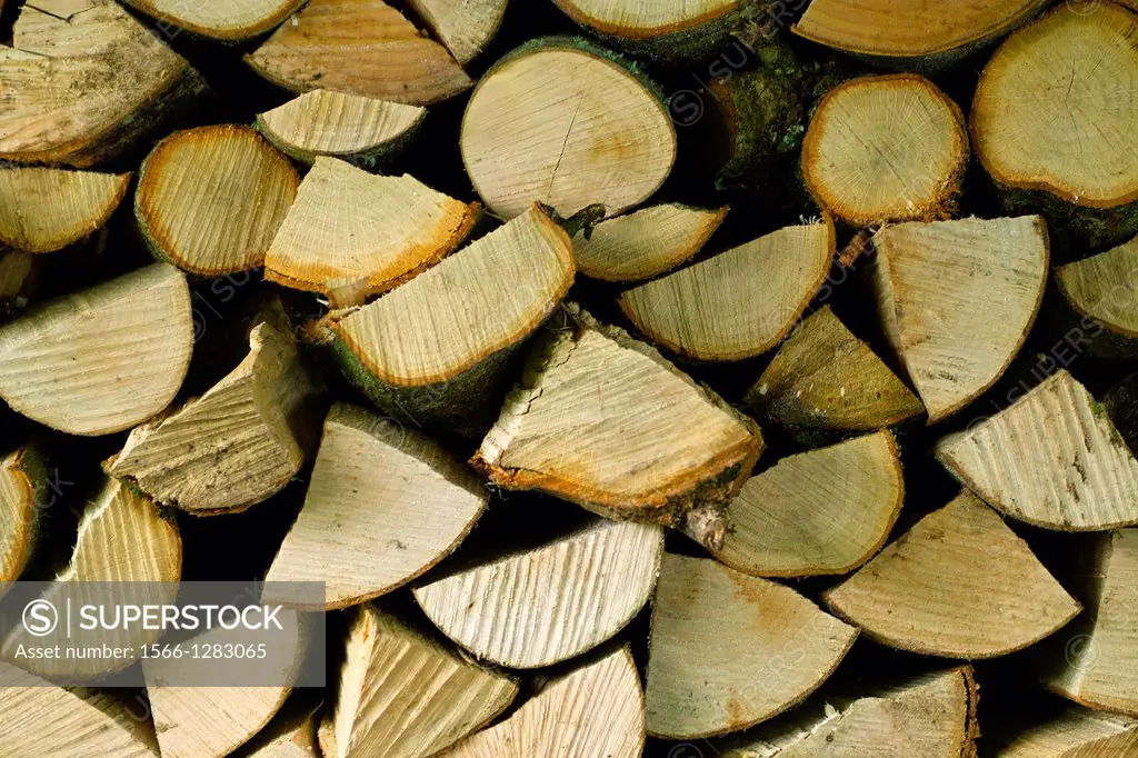 Split and stacked firewood left to season