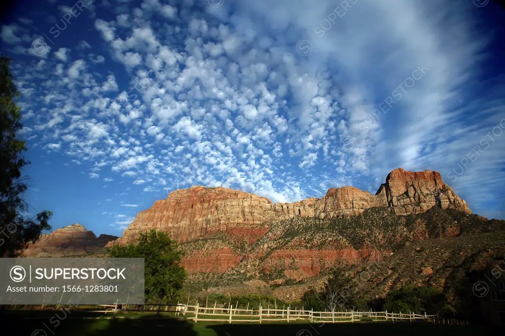 Horses graze in a pasture in Zion Canyon near Zion National Park.