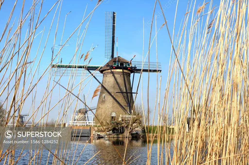 Kinderdijk, Moolenwaard, South Holland, Netherlands.