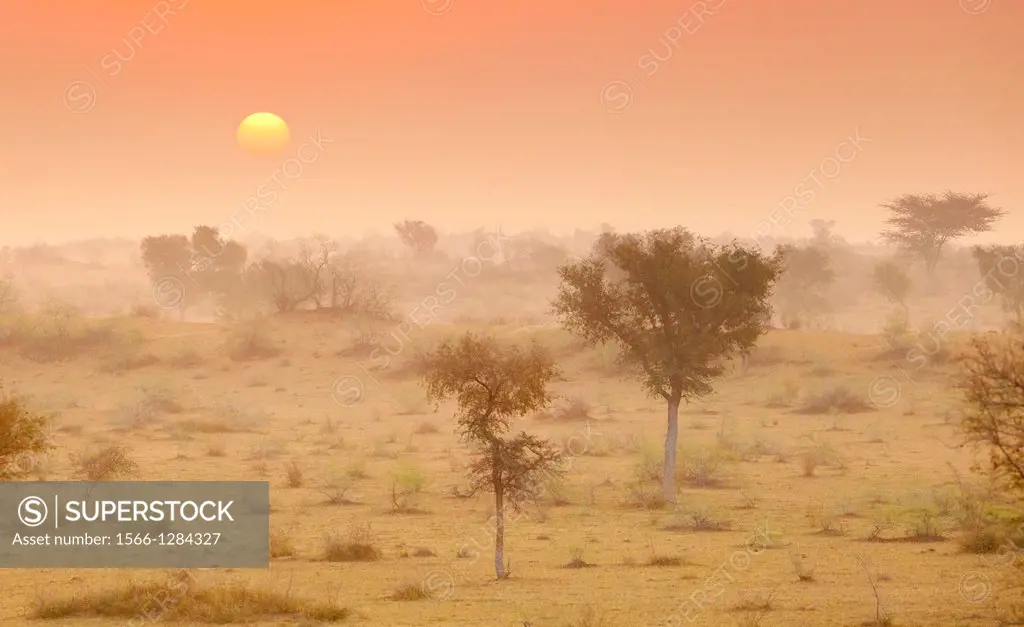 Sunrise in Thar desert near Jaisalmer, Rajasthan, India.