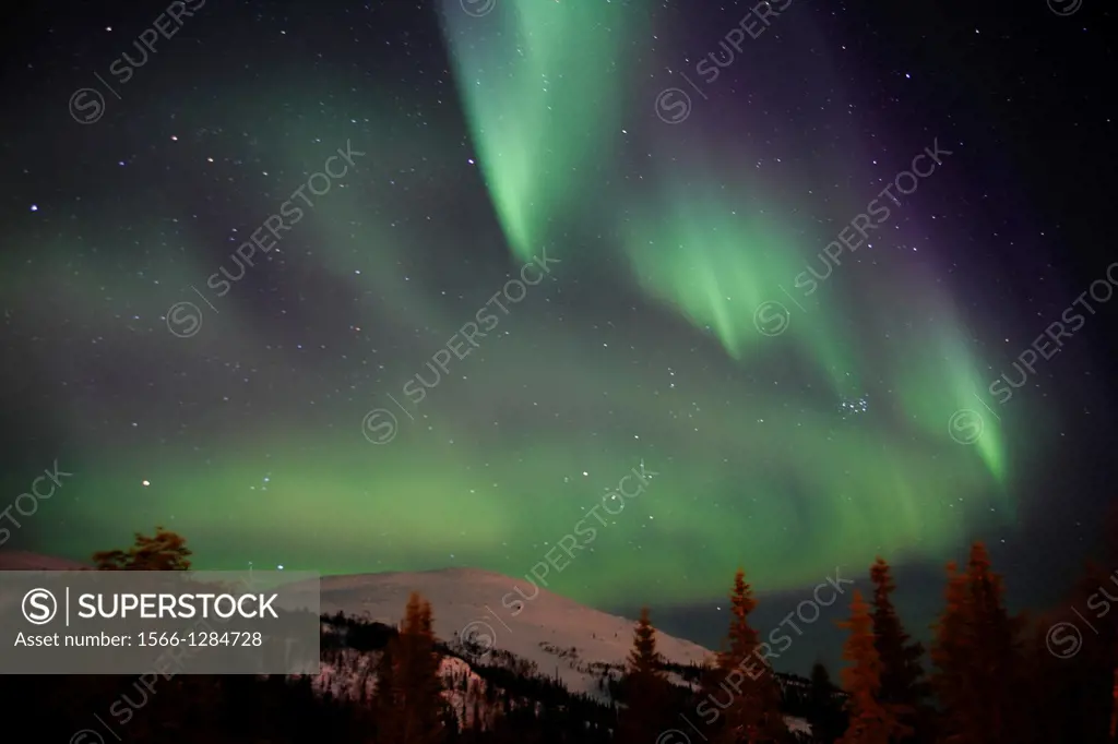 Northern lights Aurora borealis Gällivare Lappland Sweden.