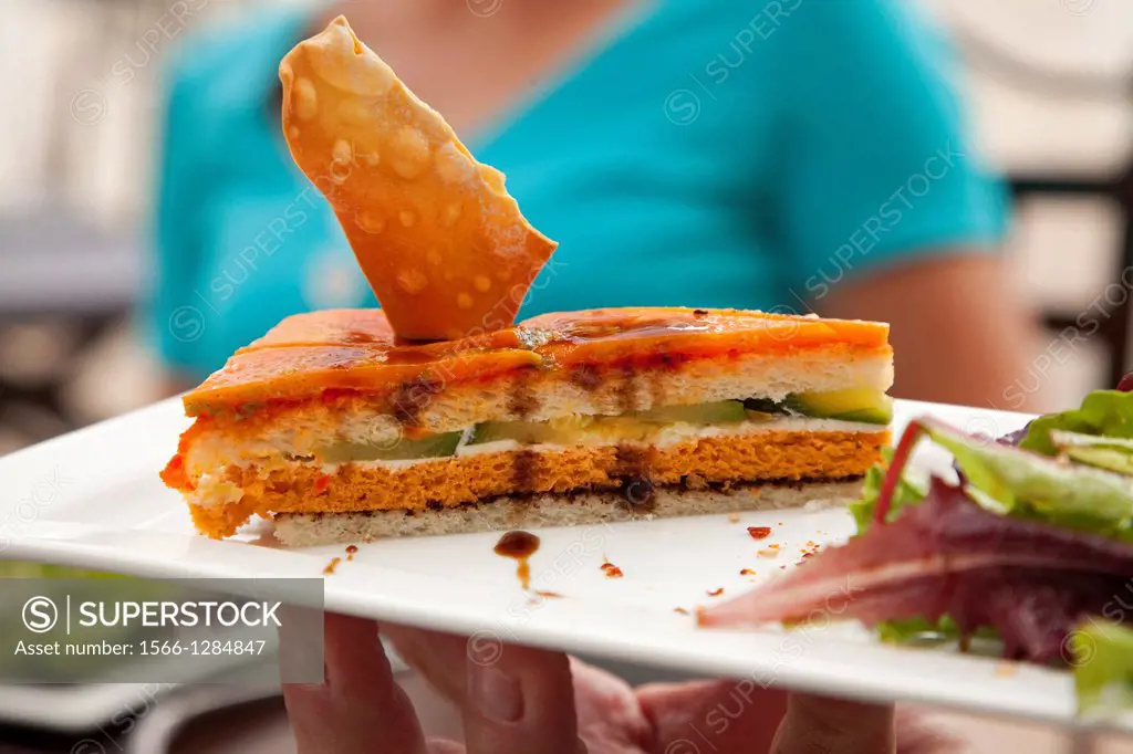 Sandwich provenzal